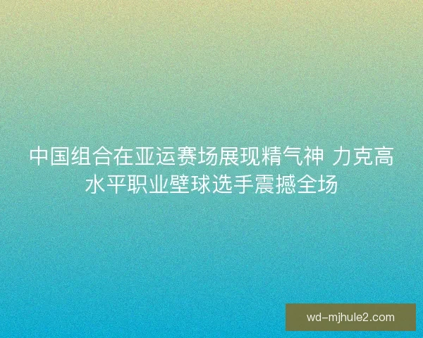 中国组合在亚运赛场展现精气神 力克高水平职业壁球选手震撼全场