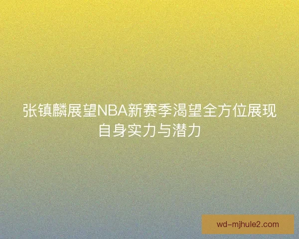 张镇麟展望NBA新赛季渴望全方位展现自身实力与潜力