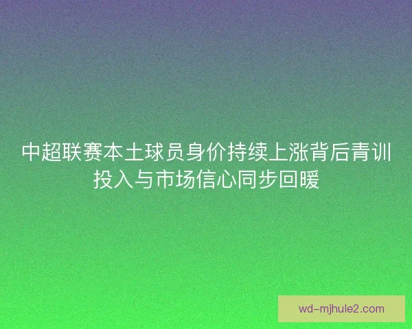 中超联赛本土球员身价持续上涨背后青训投入与市场信心同步回暖