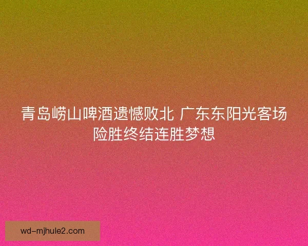 青岛崂山啤酒遗憾败北 广东东阳光客场险胜终结连胜梦想